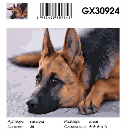 GX 30924 Картины 40х50 GX и US