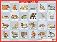 Животные. Animals. Наглядное пособие по англ.яз.