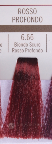 BAREX 6.66 краска для волос / PERMESSE 100мл
