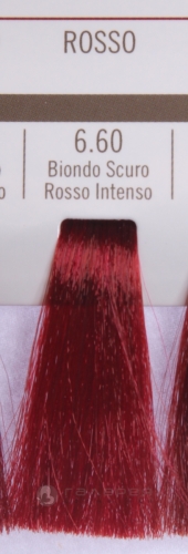 BAREX 6.60 краска для волос / PERMESSE 100мл