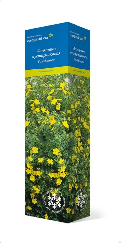 саженцы ЗКС Лапчатка кустарниковая Голдфингер (цветки желтые,высота 1 м) 1 шт Поиск