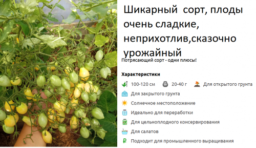 Сумасшедшие вишни барри