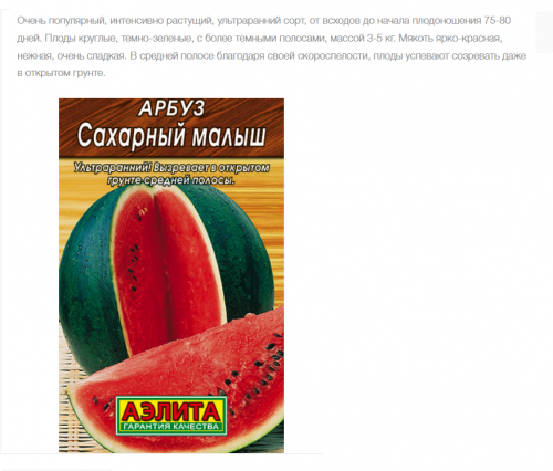 арбуз сахарный малыш