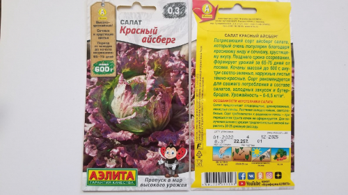 салат кочанный красный