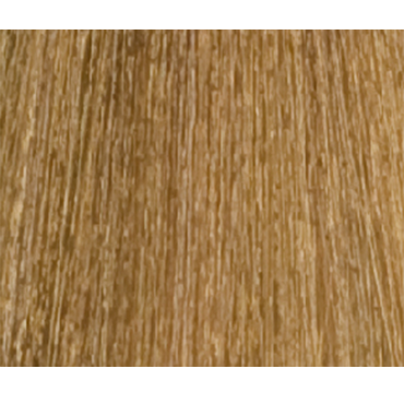 LISAP 9/73 краска для волос, блондин бежево-золотистый / LK OIL PROTECTION COMPLEX 100 мл