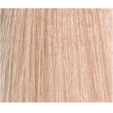 LISAP 10/8 краска для волос, очень светлый блондин фиолетовый плюс / LK OIL PROTECTION COMPLEX 100 мл