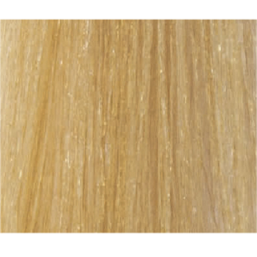 LISAP 10/3 краска для волос, очень светлый блондин золотистый плюс / LK OIL PROTECTION COMPLEX 100 мл