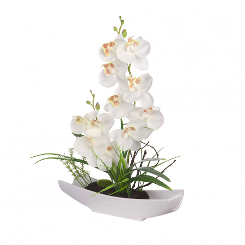 Орхидея в белой ладье