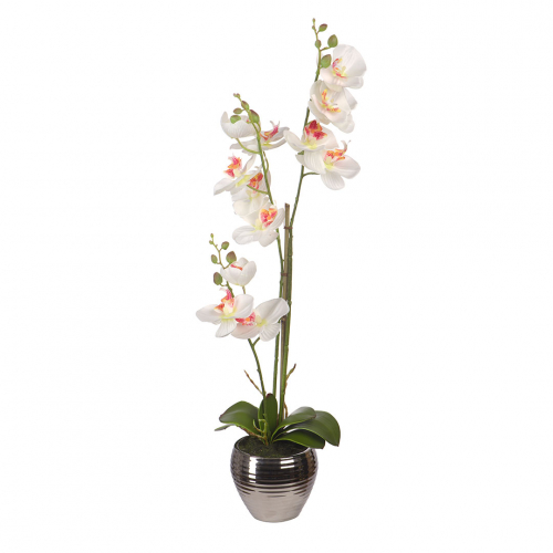 Орхидеи в керамической вазе