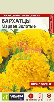 Цветы Бархатцы Марвел золотые низкорослые (5 шт) Семена Алтая