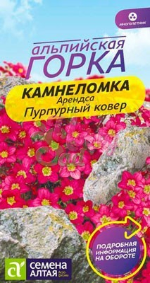 Цветы Камнеломка Пурпурный Ковер Арендса (0,01 г) Семена Алтая серия Альпийская горка