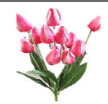 Букет тюльпанов бутон, 12 голов, высота 50см (штучные микс)