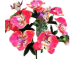 Букет орхидей с добавками, 11 голов, высота 50см (20шт микс)