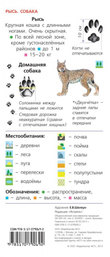 Животные. Определитель для малышей