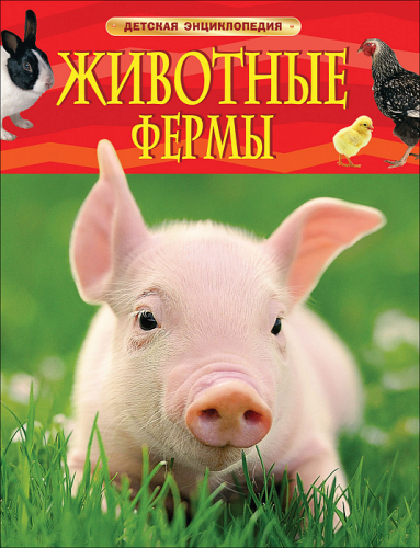 Детская энциклопедияЖивотные фермы (свин)