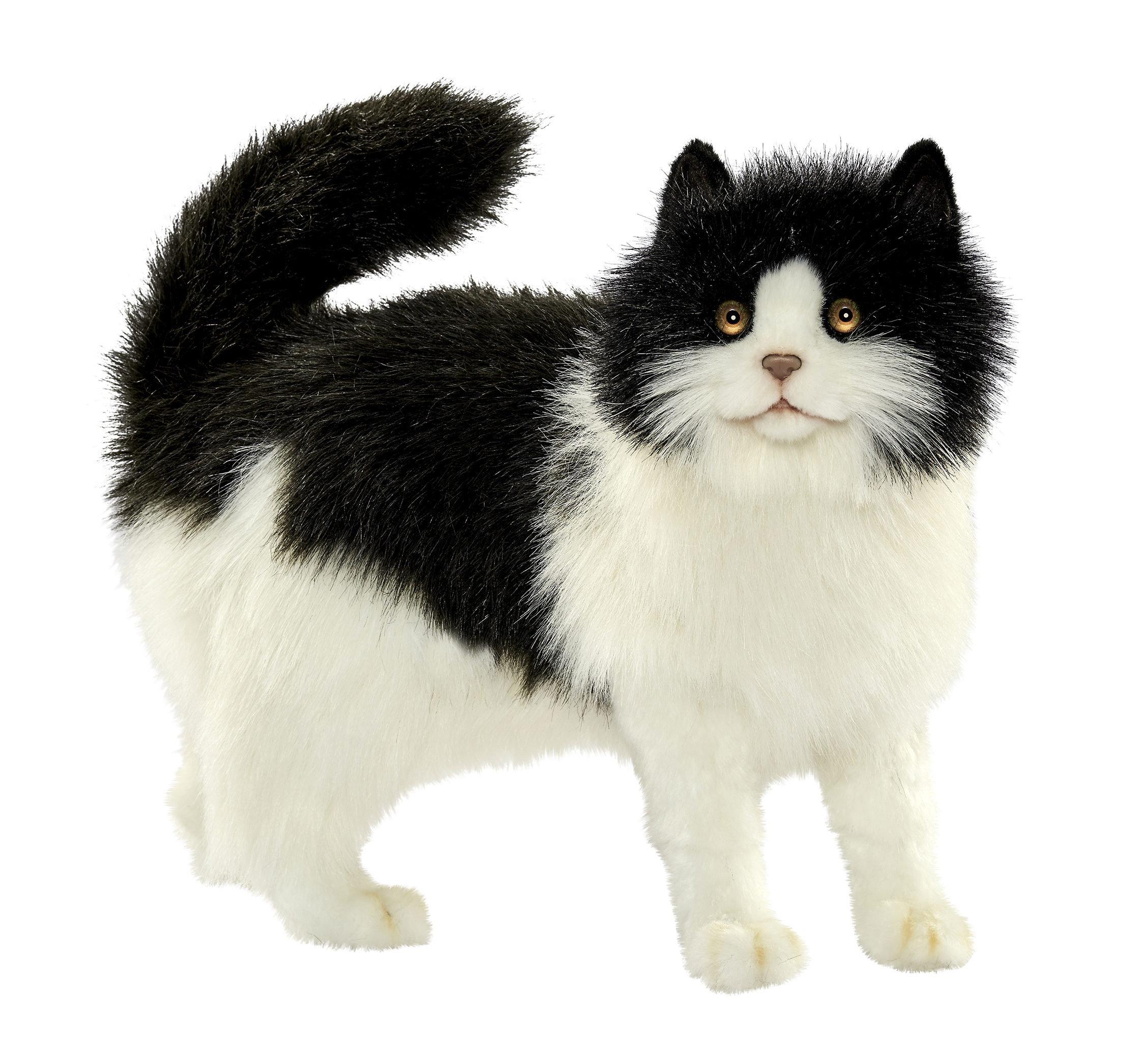 Купить игрушку кошечка. Реалистичная мягкая игрушка Hansa Creation кошка черно-белая, 40 см. Мягкая игрушка кот Ханса. Hansa Creation кошка. Игрушка кошка реалистичная Hansa черно белая.