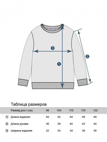 Свитшот для мальчика