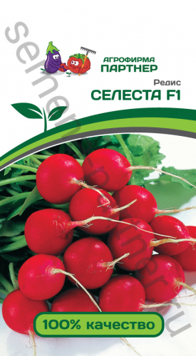 Редис Селеста F1 1г