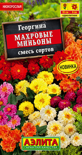 Георгина Миньоны махровые смесь сортов 7шт