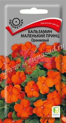 Цветы Бальзамин Маленький принц Оранжевый (0,02 г ) Поиск