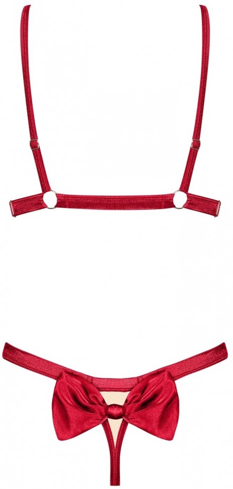 Комплект Obsessive Rubinesa set