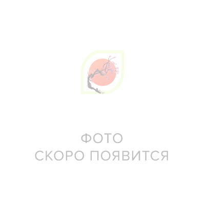 Спонж Конняку для умывания лица с экстрактом листьев персика, 1 шт (4993924010346)