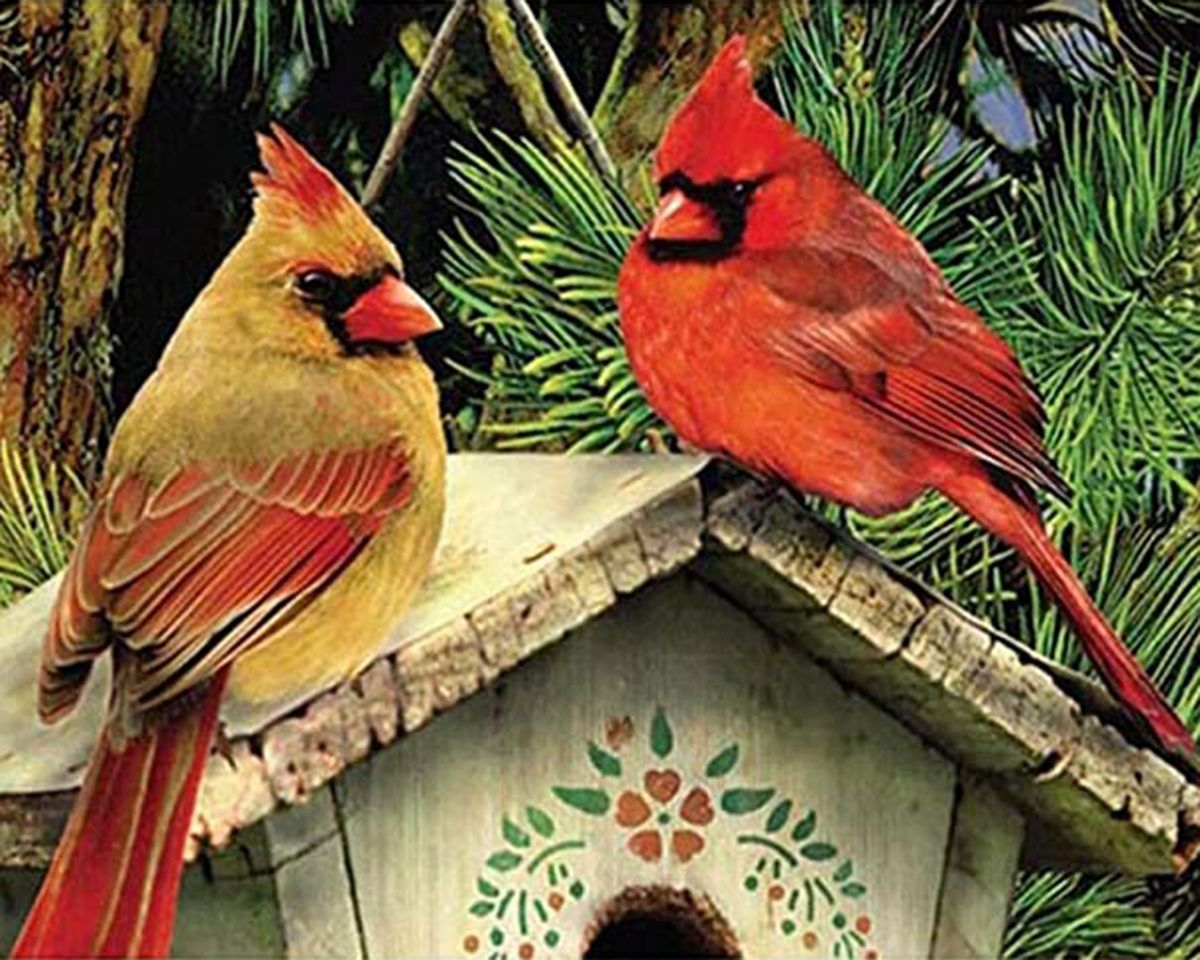 Алмазная мозаика круглыми стразами 40x50