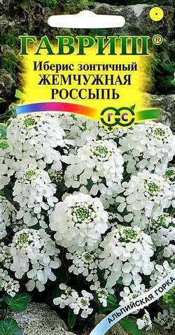 Цветы Иберис Жемчужная россыпь 0,1 г ц/п Гавриш (однол.)