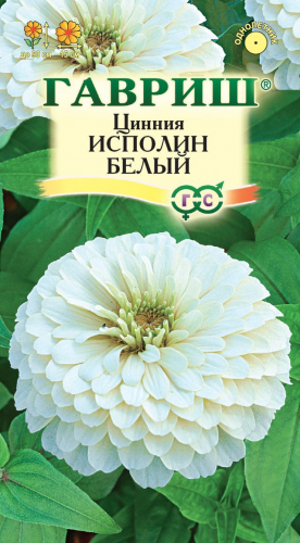 Цветы Цинния Исполин белый 0,3 г ц/п Гавриш