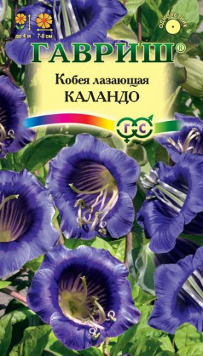Цветы Кобея Каландо (синяя) 5 шт ц/п Гавриш (однол.) вьюн