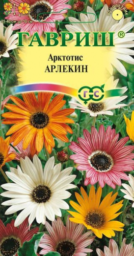 Цветы Арктотис Арлекин, смесь 0,2 г ц/п Гавриш (однол.)