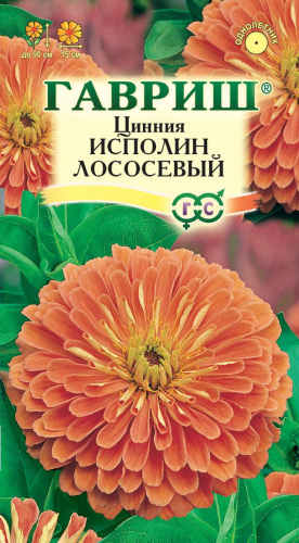 Цветы Цинния Исполин лососевый 0,3 г ц/п Гавриш