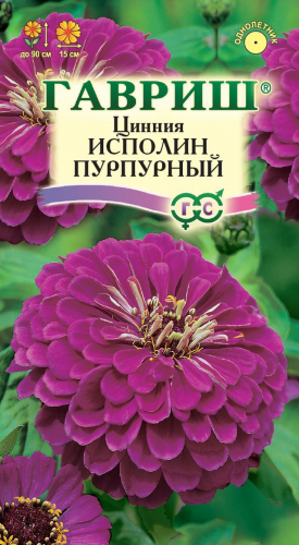 Цветы Цинния Исполин пурпурный 0,3 г ц/п Гавриш