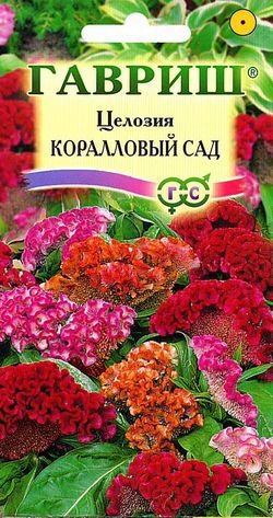 Цветы Целозия Кораловый сад, гребенчатая смесь 0,2 г ц/п Гавриш