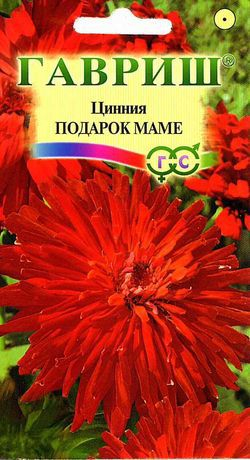 Цветы Цинния Подарок маме 0,3 г ц/п Гавриш
