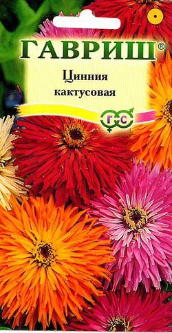 Цветы Цинния Кактусовая, смесь 0,5 г ц/п Гавриш