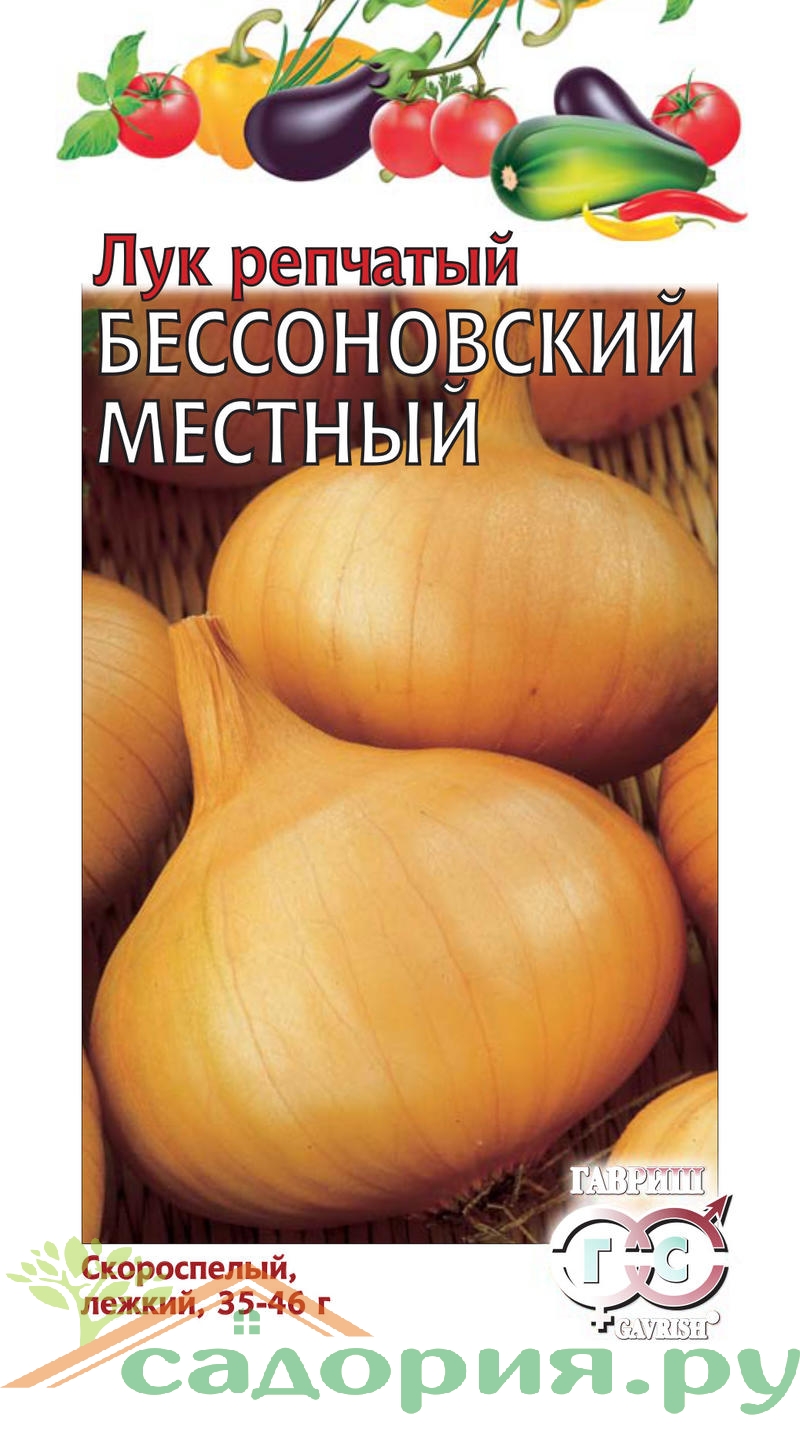 Бессоновский лук описание и фото