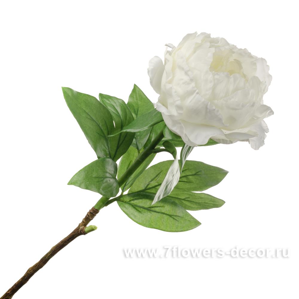 Extra flowers