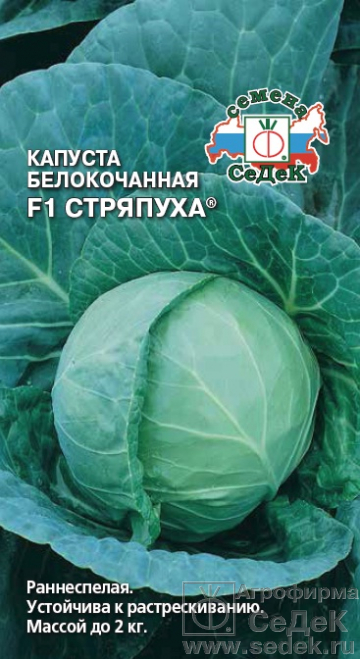 Капуста Стряпуха F1 0,3 г ц/п Седек (ранняя)