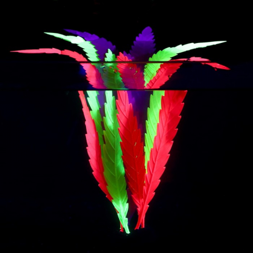 Растение силиконовое аквариумное, светящееся в темноте, 8 х 9 х 10,5 см, цветное