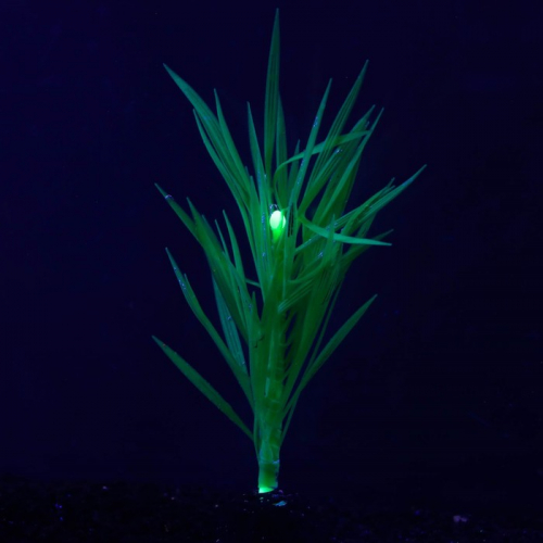 Растение силиконовое аквариумное, светящееся в темноте, 7 х 12,5 см, зелёное