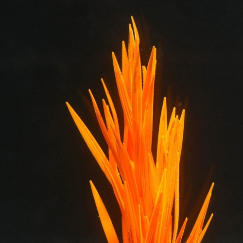 Растение силиконовое аквариумное, светящееся в темноте, 7 х 12,5 см, оранжевое