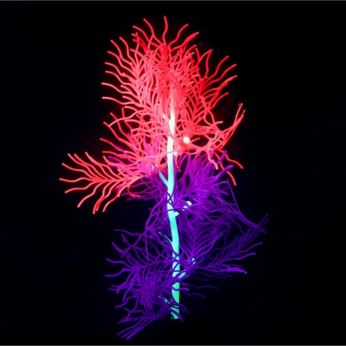 Растение силиконовое аквариумное, светящееся в темноте, 9,5 х 30 см, красно-фиолетовое