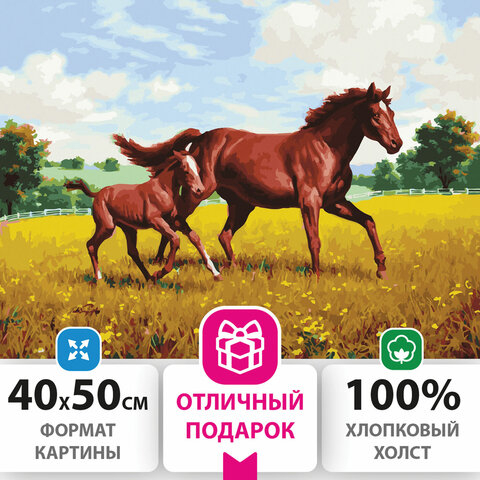 Картина по номерам 40х50 см, ОСТРОВ СОКРОВИЩ “Лошади на лугу“, на подрамнике, акриловые краски, 3 кисти, 662464