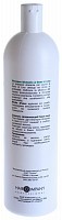 HAIR COMPANY Шампунь увлажняющий Семя льна / Shampoo Idratante ai Semi di Lino HAIR LIGHT 1000 мл