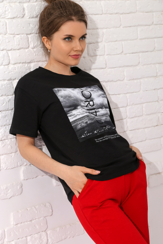 Футболка Интро-1