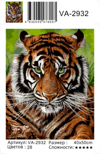 Картина по номерам 40х50 - Суровый тигр
