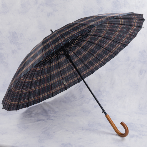 зонт 2.SLYJ3522-02