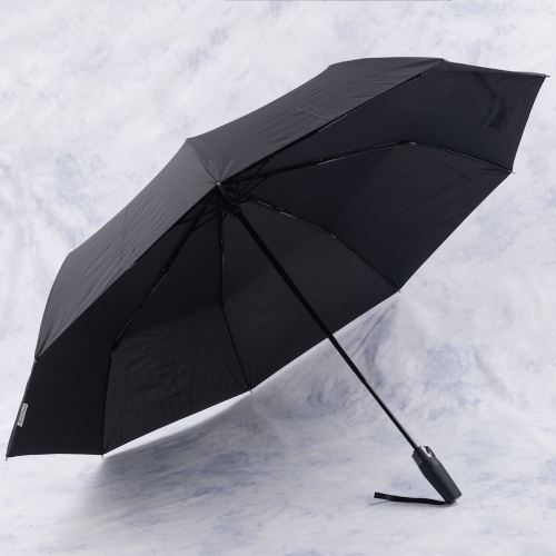 зонт 2.SCBI3516