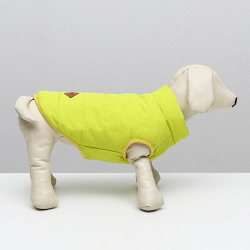Куртка для собак, M (ДС 25 см, ОШ 26 см, ОГ 37 см), жёлтая